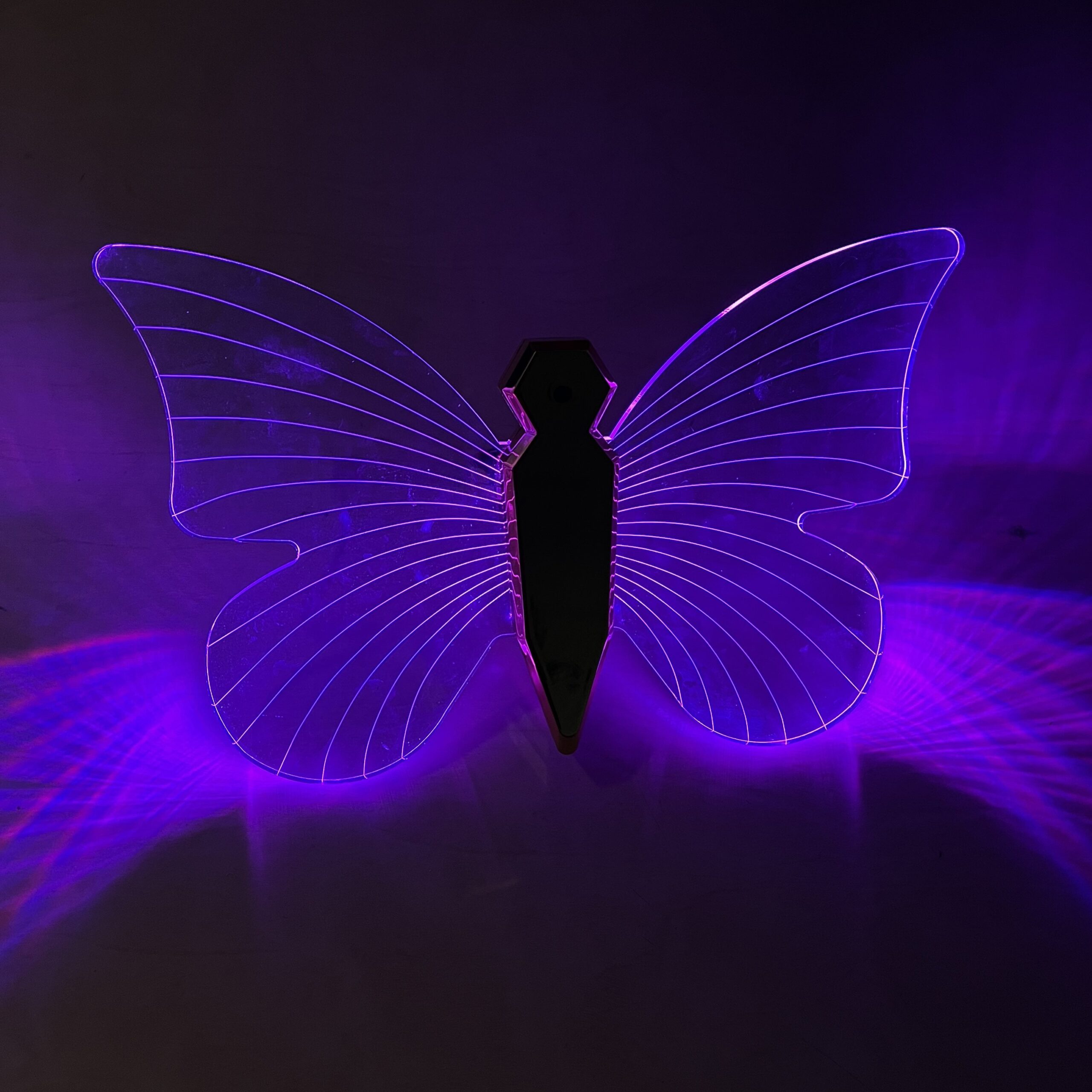 LED butterfly wings for Lamborghini bottle