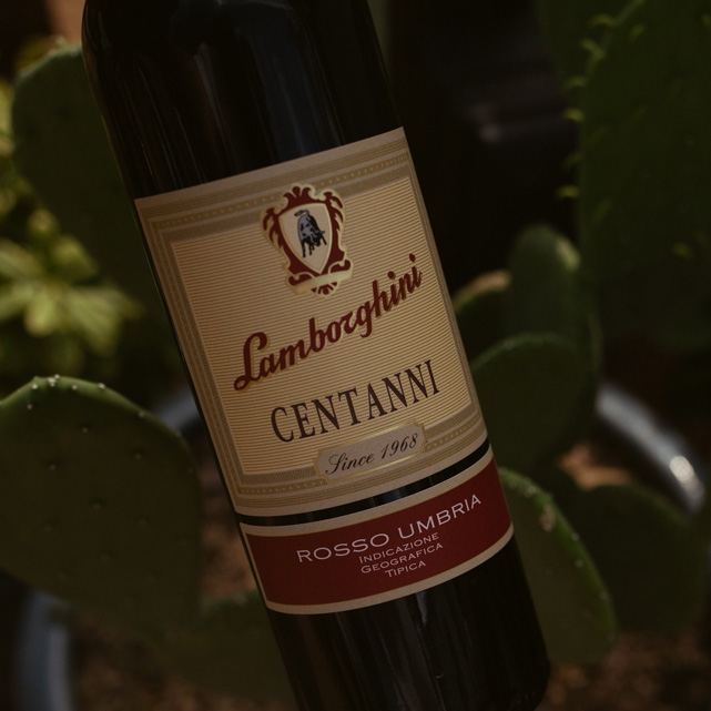 Close-up of the classic beige label of a Lamborghini Centanni Rosso Umbria red wine bottle surrounded by green cacti and plants.